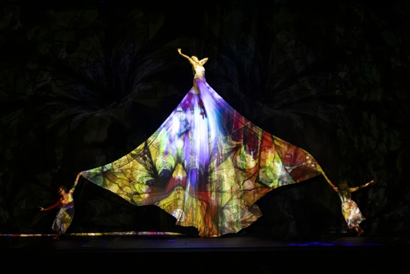 Review: MOMIX's ALICE Returns to The Joyce Theater  Image