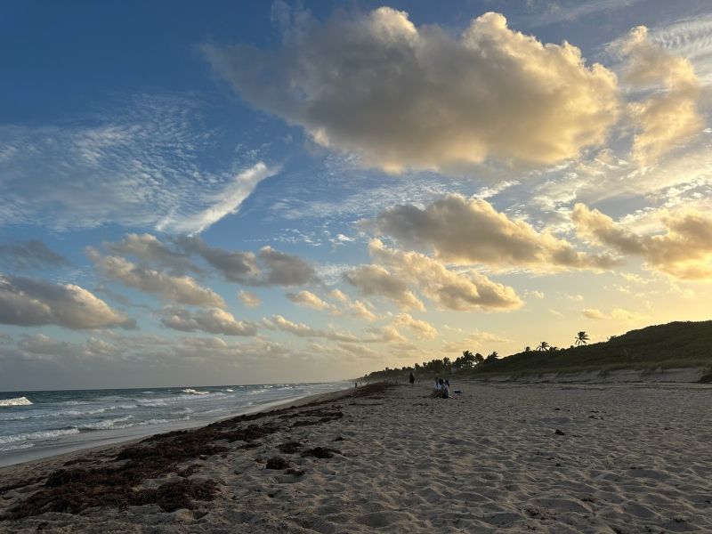 Student Blog: Home for the Holidays: The Importance of Recharging Image