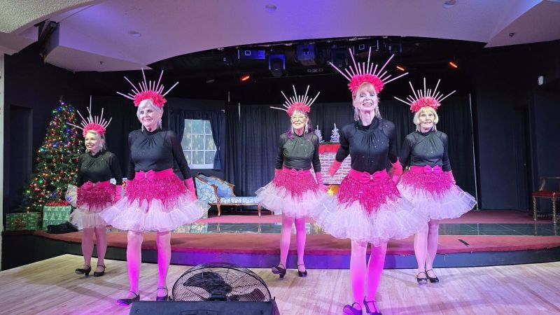 Review: CHAMPAGNE AND MISTLETOE at Vapors Live in Hot Springs Review: CHAMPAGNE AND MISTLETOE at Vapors Live in Hot Springs Image