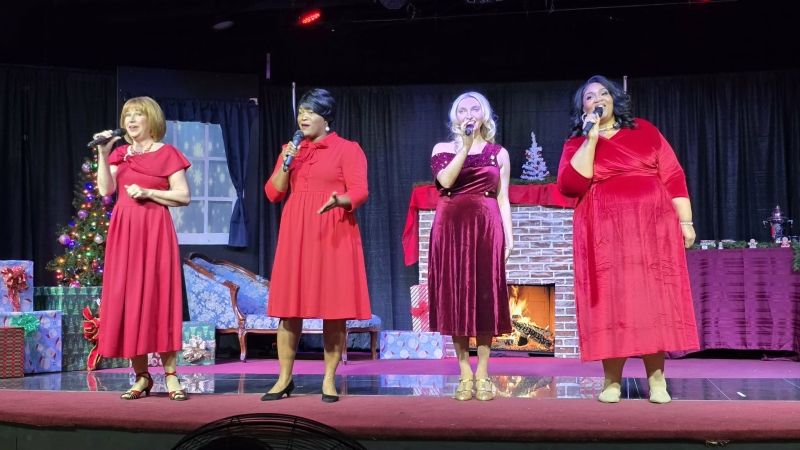 Review: CHAMPAGNE AND MISTLETOE at Vapors Live in Hot Springs Image
