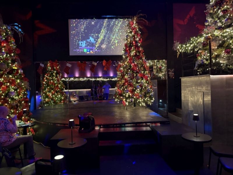 Review: TAMMIE BROWN'S HOLIDAY SPARKLE at Club Sway in Little Rock  Image