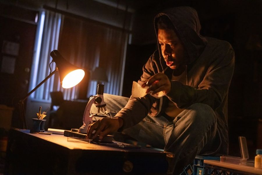 Photos: Carrie Coon, Namir Smallwood and More in BUG on Broadway  Image