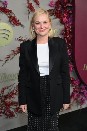 Amy Poehler Photo