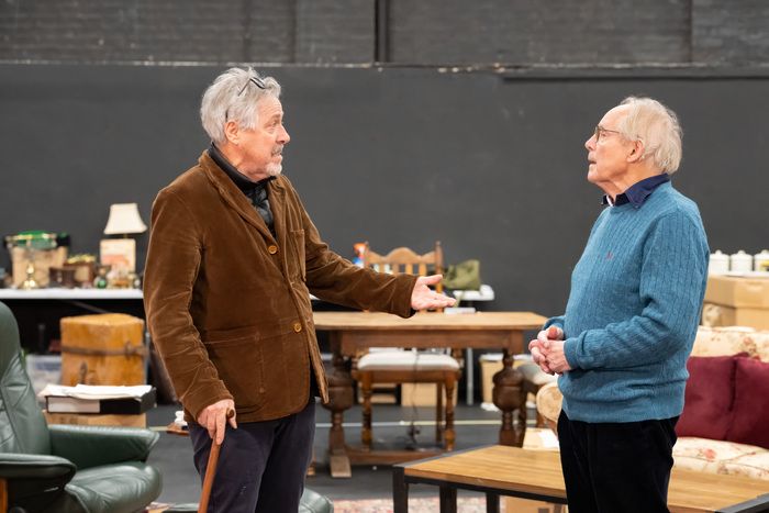Photos: I'M SORRY, PRIME MINISTER in Rehearsal — photo 3 of 13