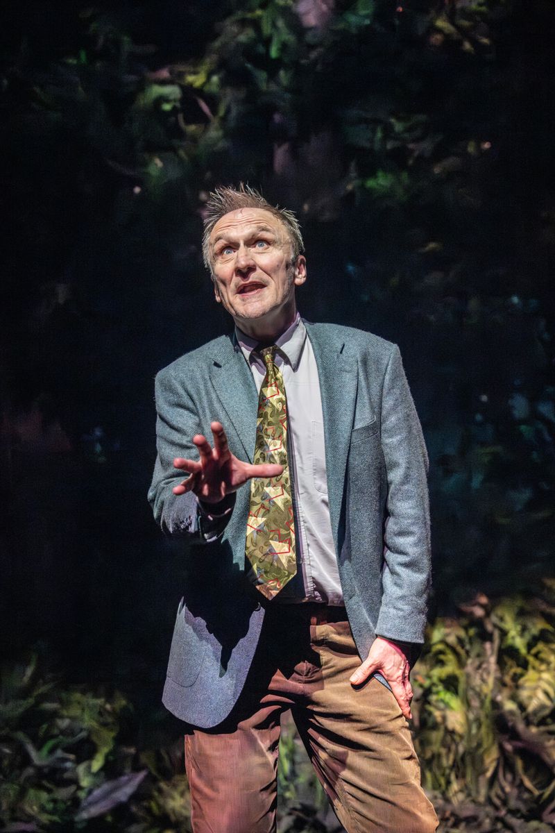 Photos/Video: INTO THE WOODS at the Bridge Theatre in London — photo 6 of 16