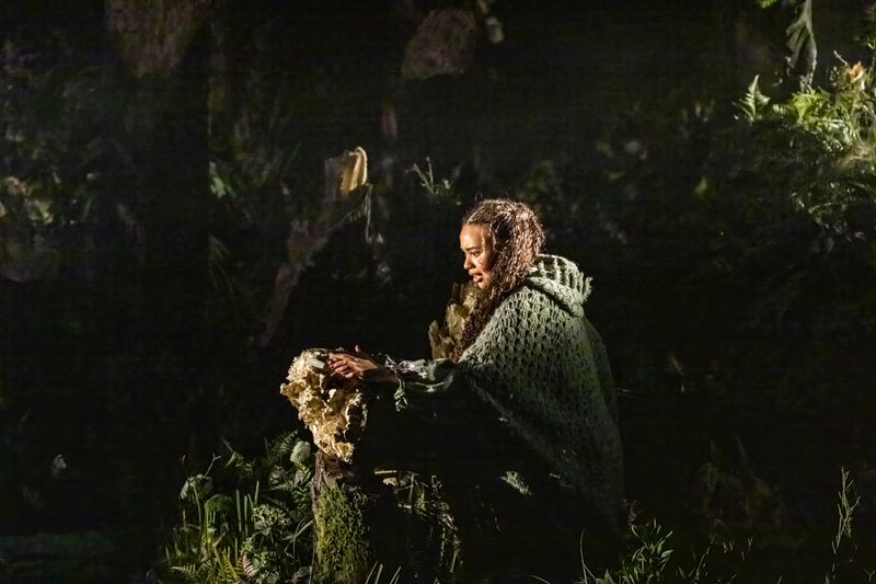 Photos/Video: INTO THE WOODS at the Bridge Theatre in London — photo 5 of 16