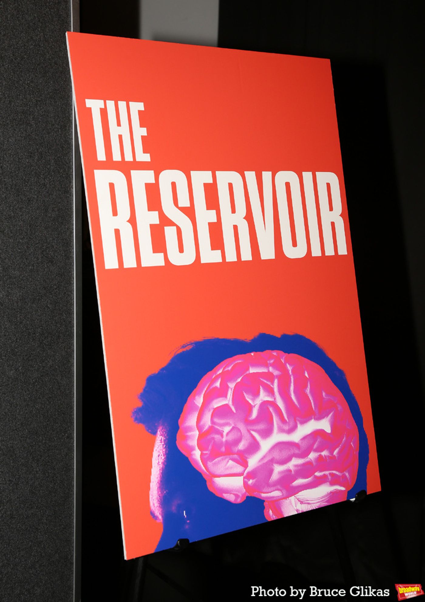Photos: The Cast of Atlantic Theater Company's THE RESERVOIR Meet the Press Photos: The Cast of Atlantic Theater Company's THE RESERVOIR Meet the Press Image