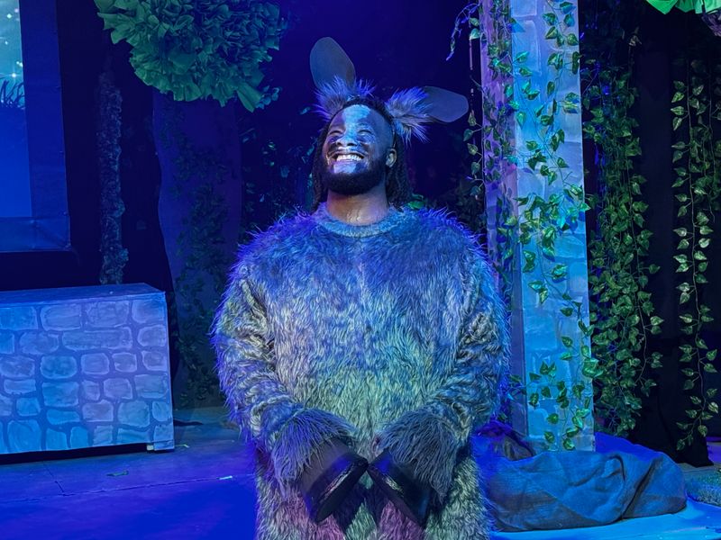 Photos: SHREK THE MUSICAL at Shea's Smith Theatre — photo 2 of 8