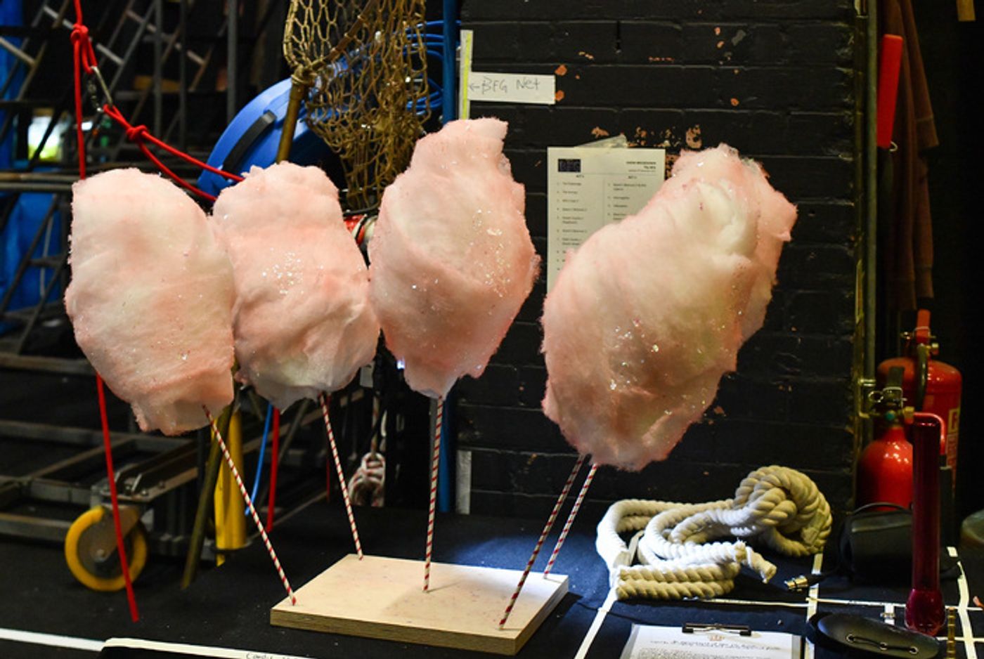 Photos: Backstage at The Royal Shakespeare Company's THE BFG  Image