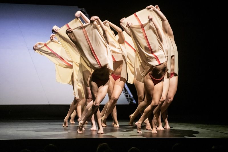 CARMINA BURANA BALLET Brings Dance, Music and Technology to São Paulo  Image