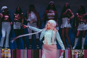 Michelle Shapiro and The Company @ BroadwayWorld Michelle Shapiro and The Company Photo