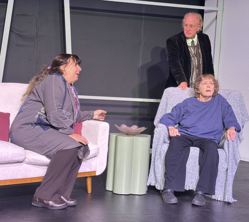 Feature: MARJORIE PRIME at Theatre 29  Image