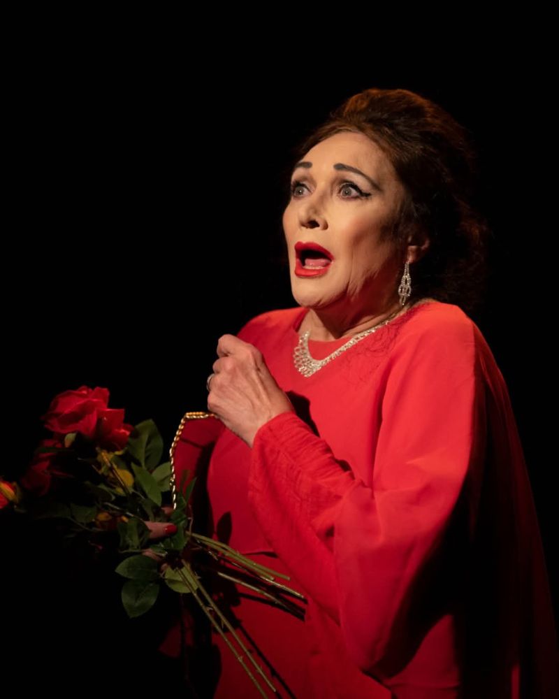 Review: THE OPERA SINGER at Baxter Studio  Image