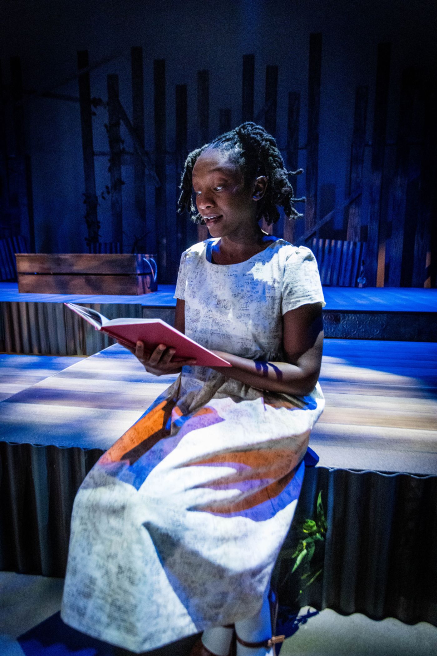 Review: THE BLUEST EYE at The Ensemble Theatre  Image