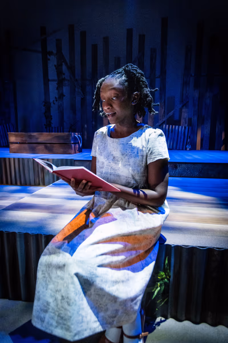 Review: THE BLUEST EYE at The Ensemble Theatre Image
