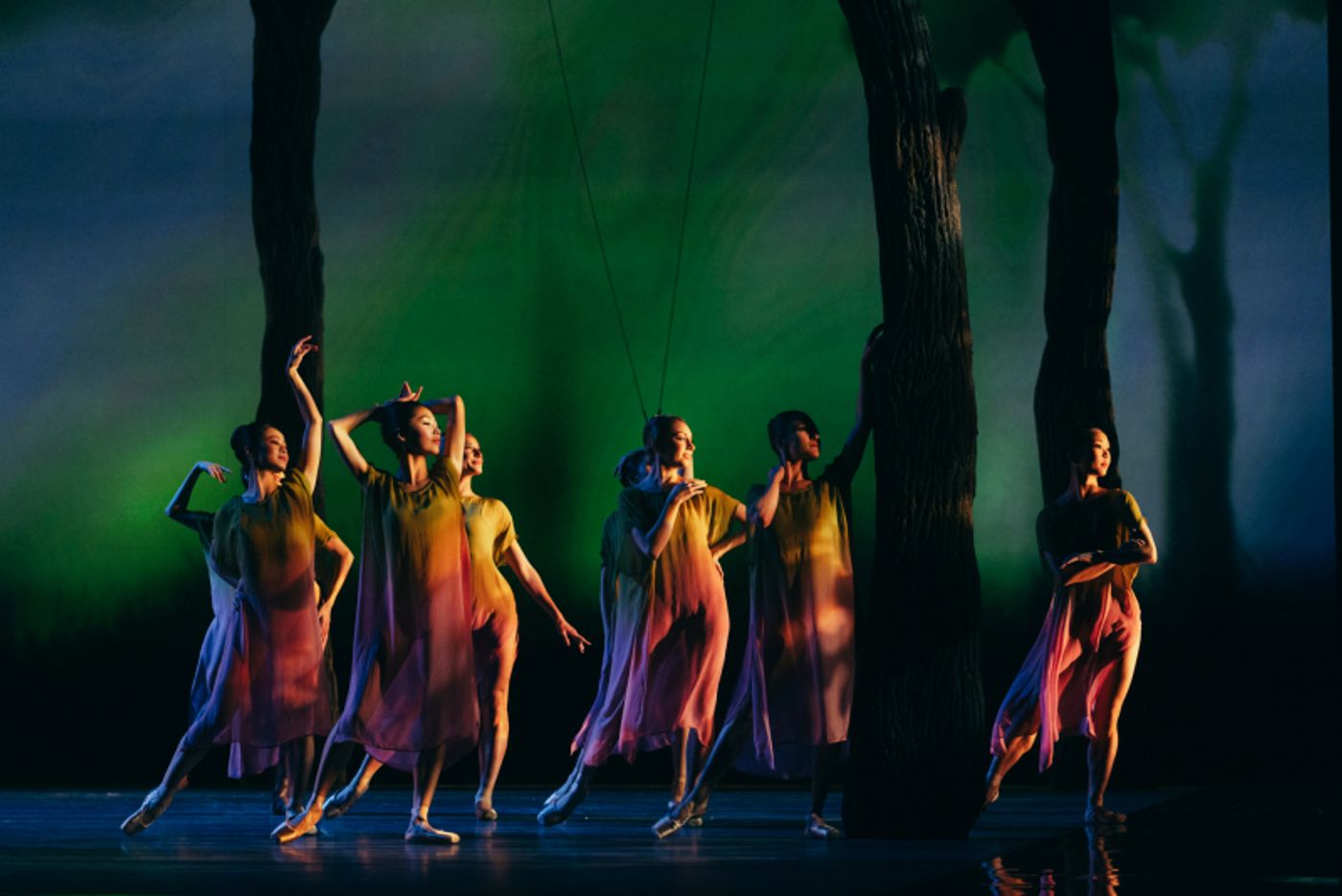 Review: EUGENE ONEGIN at San Francisco Ballet  Image