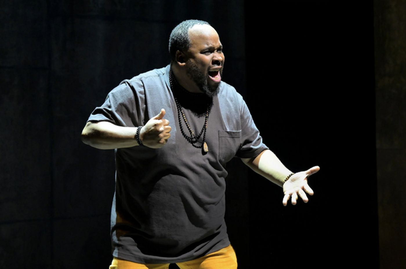 Photos: Jacob Ming-Trent in HOW SHAKESPEARE SAVED MY LIFE at Berkeley Rep  Image