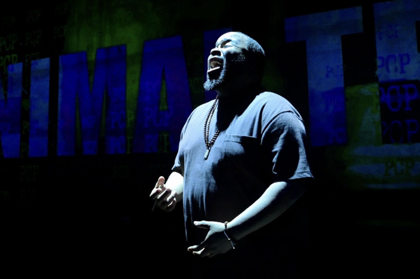 Photos: Jacob Ming-Trent in HOW SHAKESPEARE SAVED MY LIFE at Berkeley Rep  Image