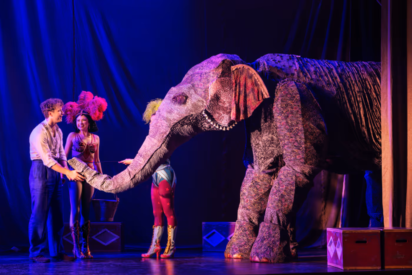 Review: WATER FOR ELEPHANTS at Broadway At The Hobby Center  Image