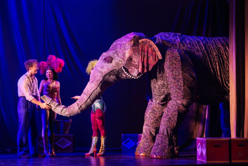 Review: WATER FOR ELEPHANTS at Broadway At The Hobby Center Image