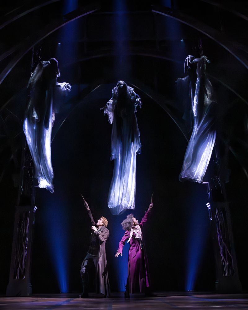 Review: HARRY POTTER AND THE CURSED CHILD at Dr. Phillips Center For The Performing Arts Image