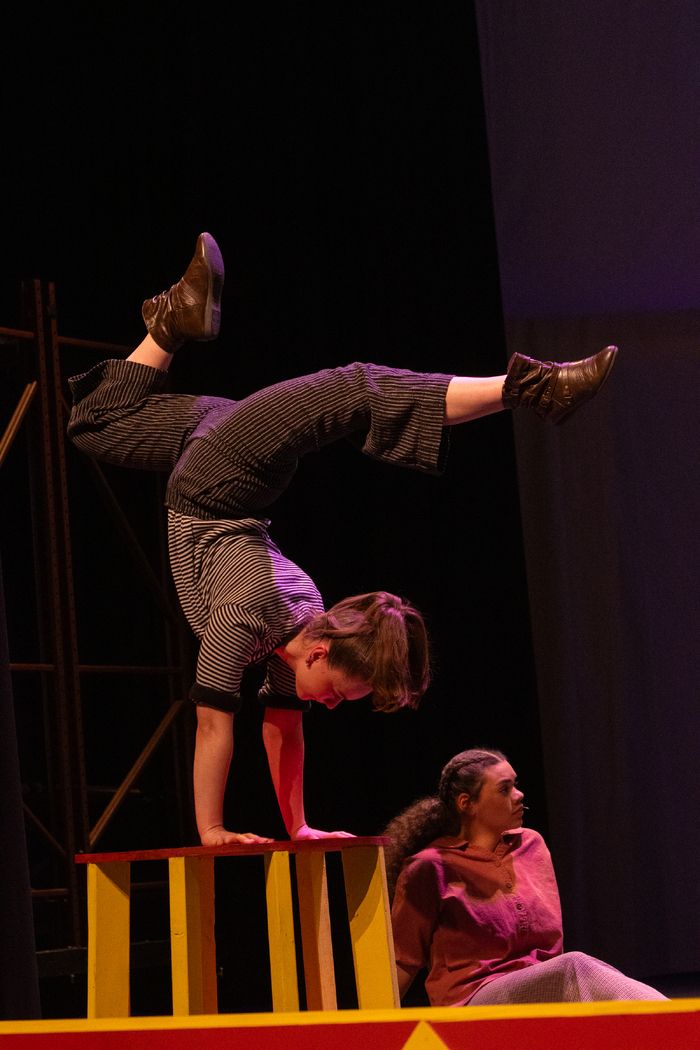 Review: WATER FOR ELEPHANTS at Horace High Theatre Image