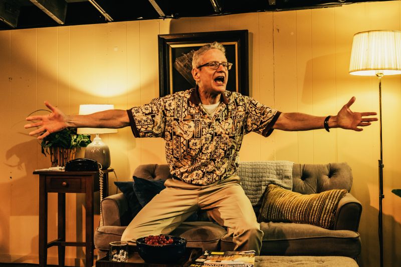 Interview: Justin Tanner of MY SON THE PLAYWRIGHT by Rogue Machine Image