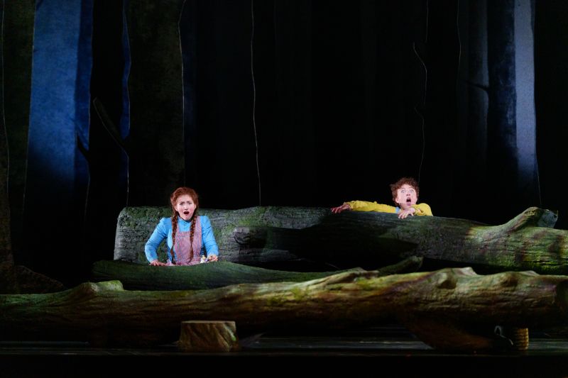 Review: HANSEL AND GRETEL at Houston Grand Opera Image