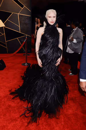Lady Gaga  Photo