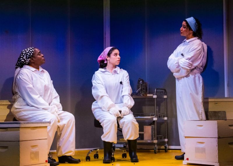 Review: THE APIARY at New Village Arts Image