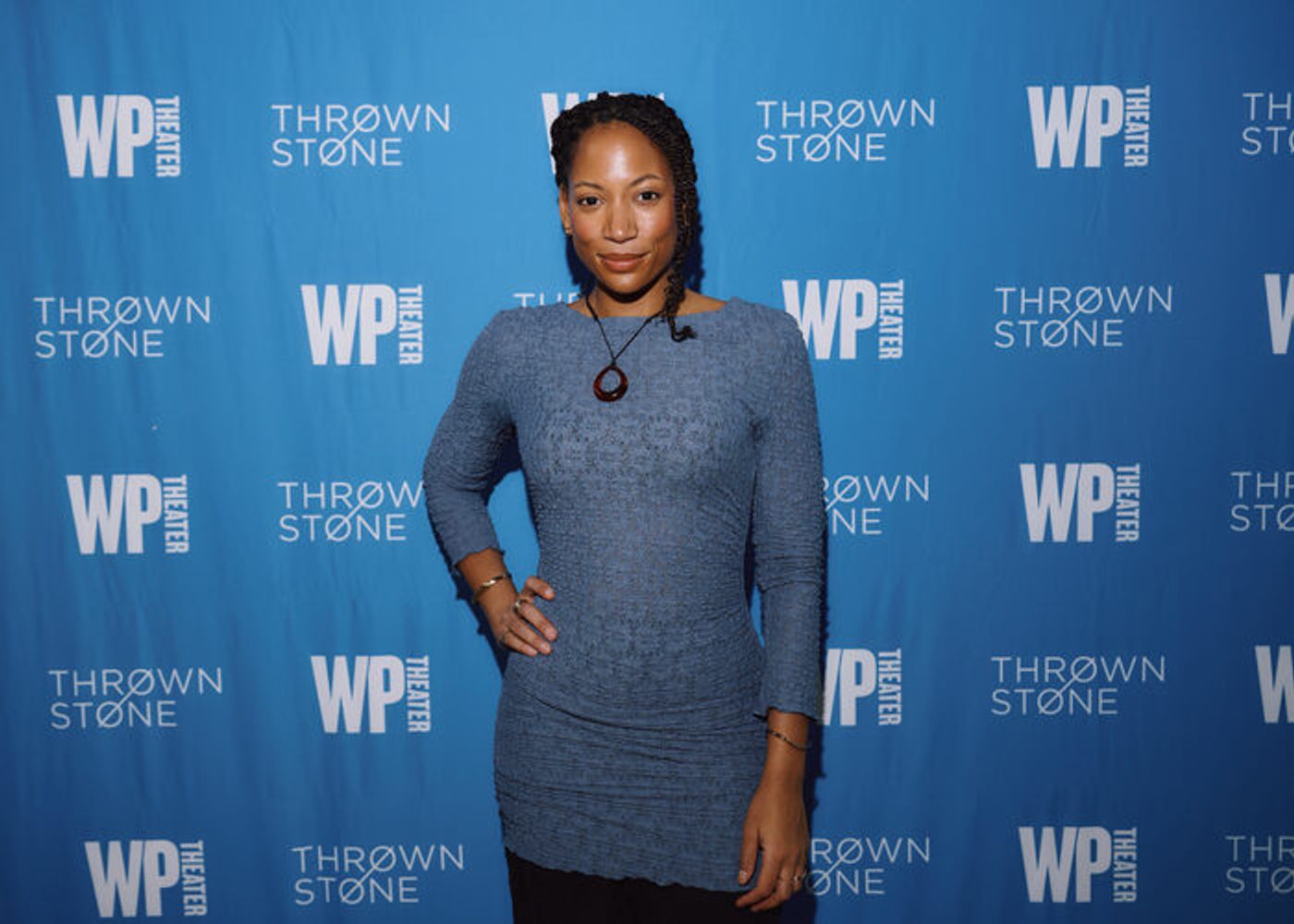Photos: The Cast of THE WATERFALL Off-Broadway Meets the Press  Image