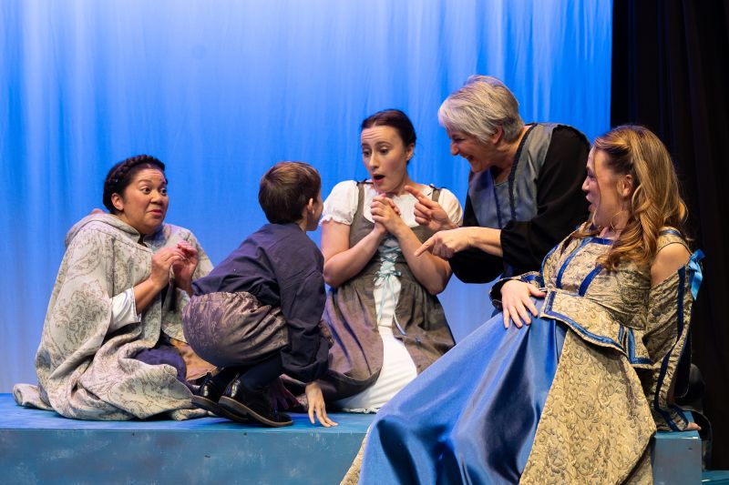 Review: THE WINTER'S TALE at Davidson Community Players Image