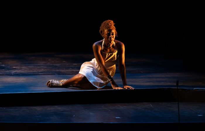 Photos: Highlights from Juilliard School's CELEBRATION: A BENEFIT FOR SCHOLARSHIP — photo 16 of 24