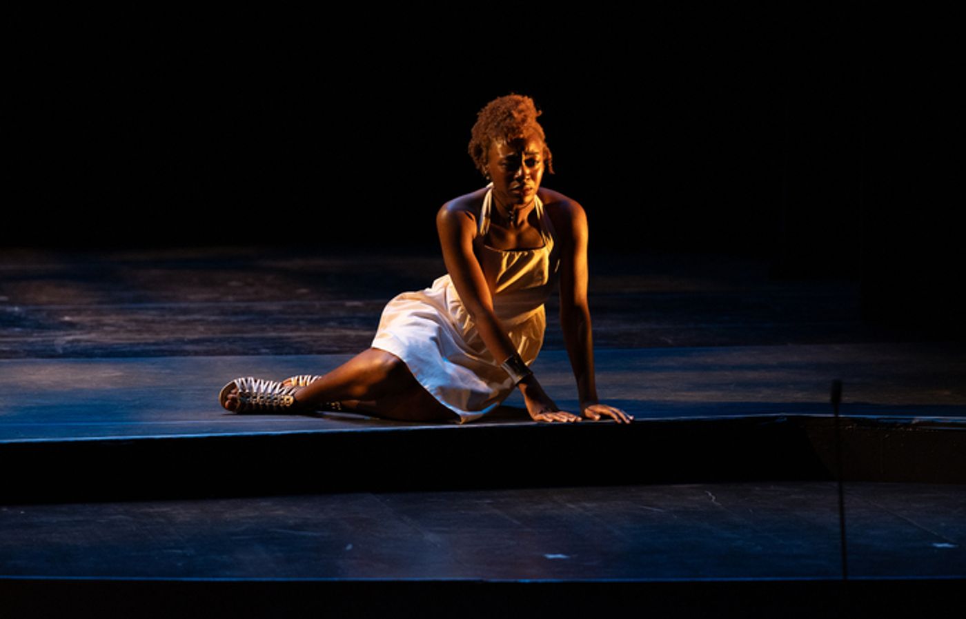 Photos: Highlights from Juilliard School's CELEBRATION: A BENEFIT FOR SCHOLARSHIP  Image