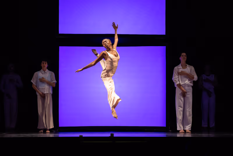 Review: STILL/HERE at Clarice Smith Performing Arts Center Image