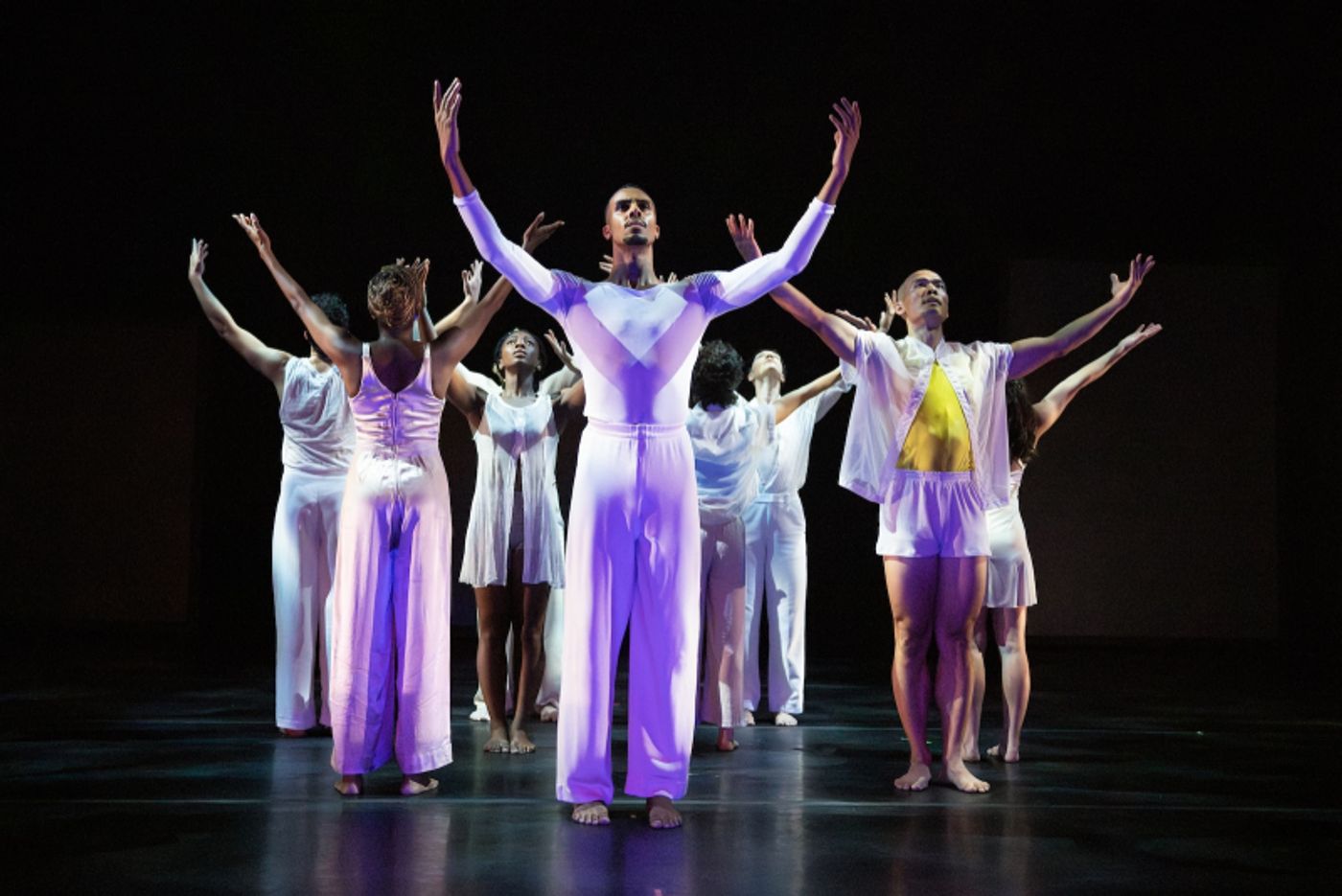 Review: STILL/HERE at Clarice Smith Performing Arts Center  Image