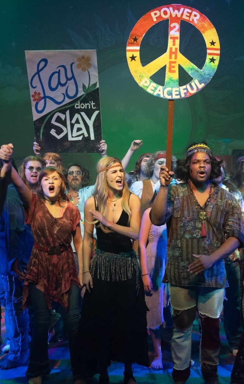 Review: HAIR at Palm Canyon Theatre Image