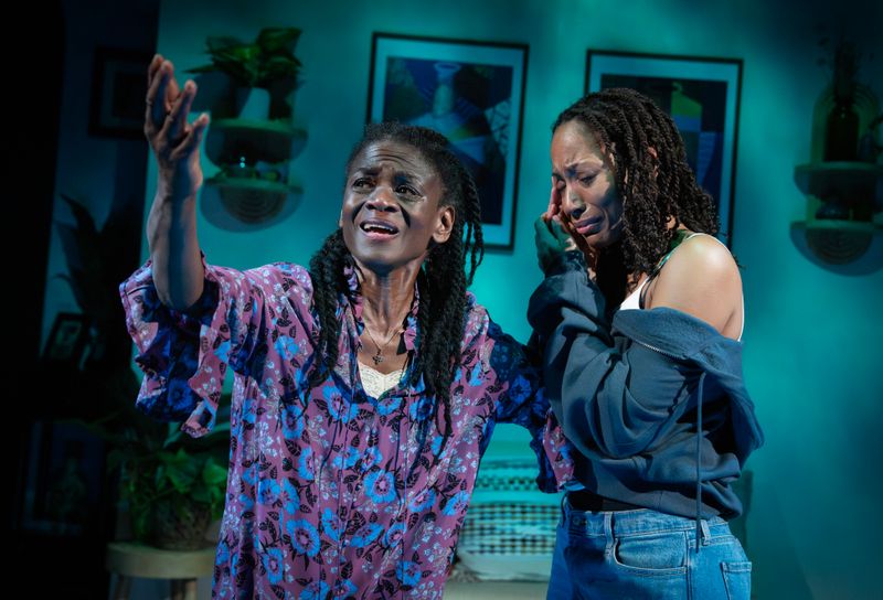 Photos: Patrice Johnson Chevannes and Natalie Paul in THE WATERFALL at WP Theater — photo 11 of 17