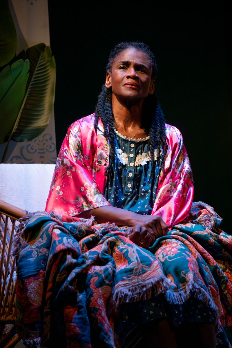 Photos: Patrice Johnson Chevannes and Natalie Paul in THE WATERFALL at WP Theater — photo 16 of 17