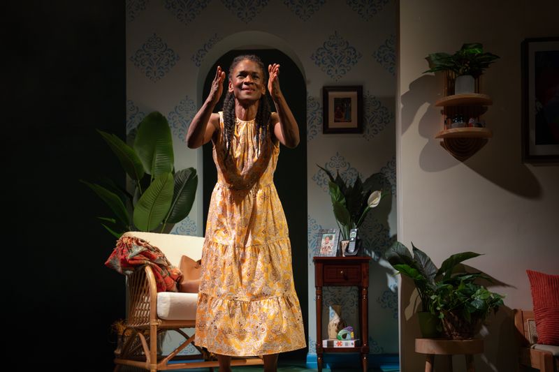 Photos: Patrice Johnson Chevannes and Natalie Paul in THE WATERFALL at WP Theater — photo 10 of 17
