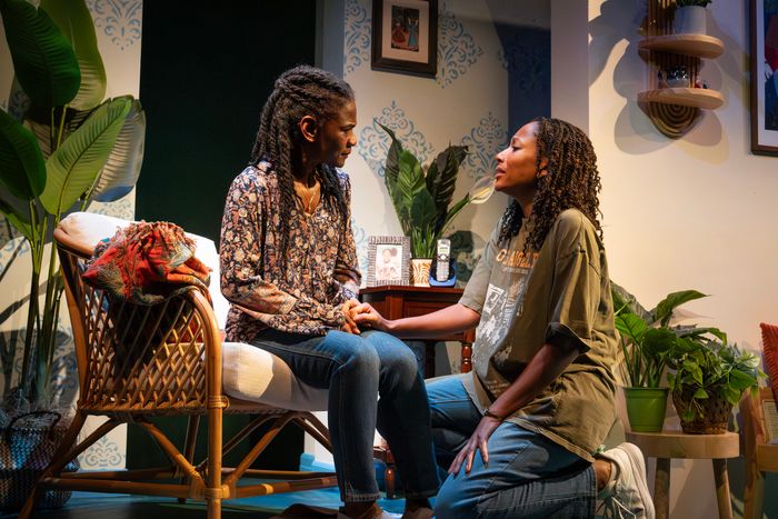Photos: Patrice Johnson Chevannes and Natalie Paul in THE WATERFALL at WP Theater — photo 8 of 17