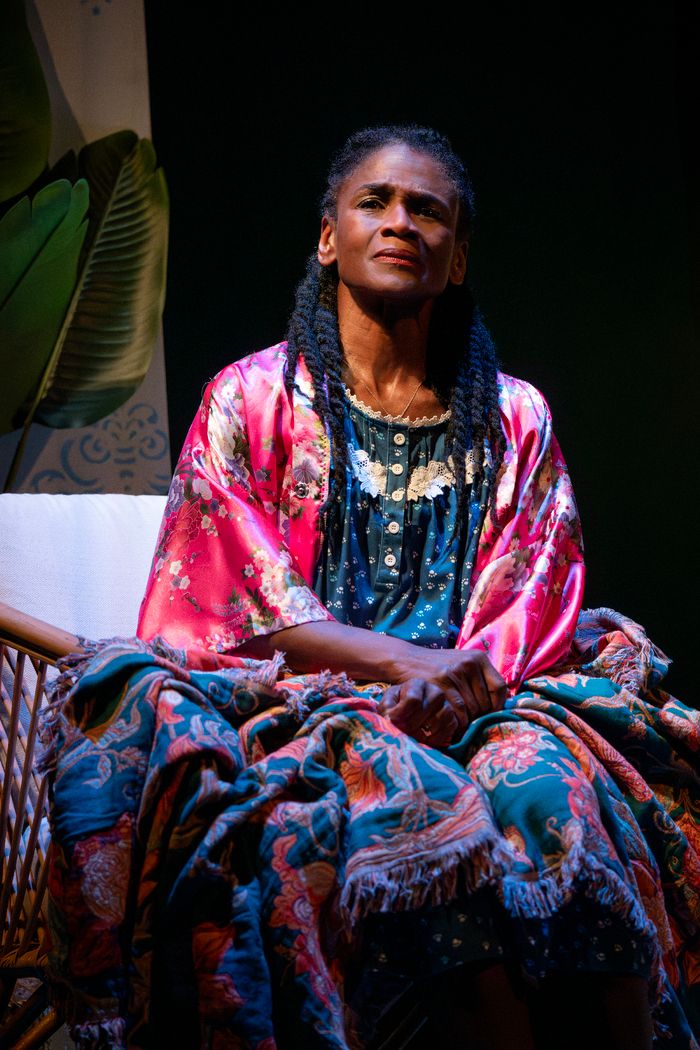 Photos: Patrice Johnson Chevannes and Natalie Paul in THE WATERFALL at WP Theater — photo 16 of 17