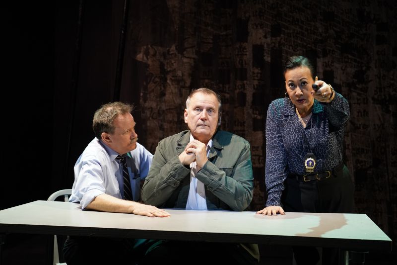 Review: NOT NOBODY at 59E59 Theaters-Thought Provoking Image