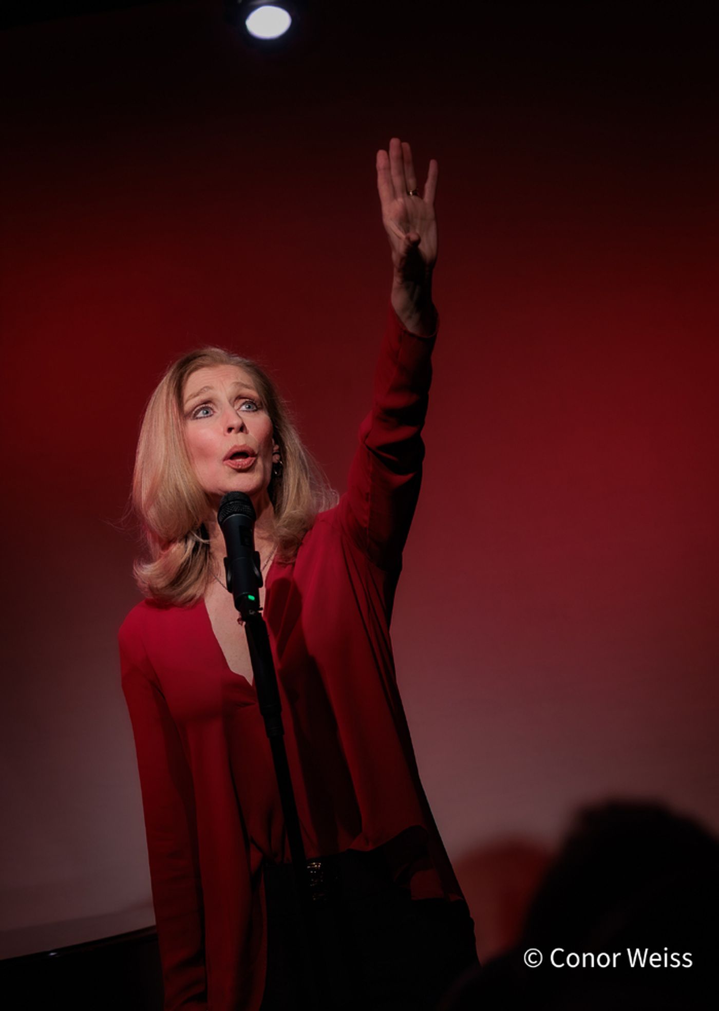 Photos: Ann Kittredge's LOVE FOR SALE at Don't Tell Mama Celebrates 10 Years of Cabaret Photos: Ann Kittredge's LOVE FOR SALE at Don't Tell Mama Celebrates 10 Years of Cabaret Image