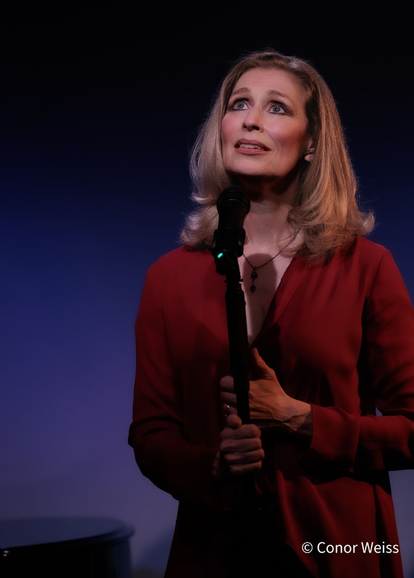 Photos: Ann Kittredge's LOVE FOR SALE at Don't Tell Mama Celebrates 10 Years of Cabaret Photos: Ann Kittredge's LOVE FOR SALE at Don't Tell Mama Celebrates 10 Years of Cabaret Image