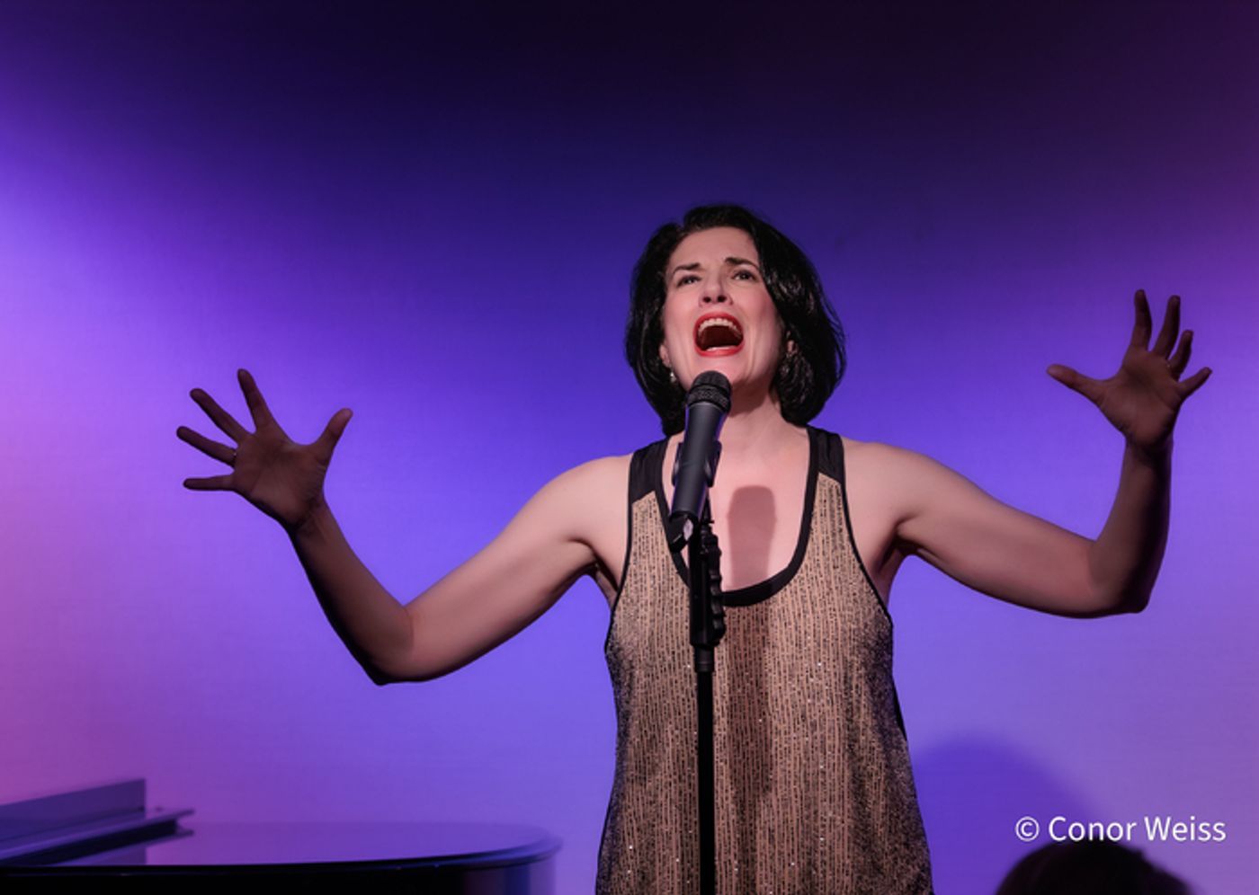 Photos: Highlights from Meg Flather's EPIPHANY at Don't Tell Mama  Image