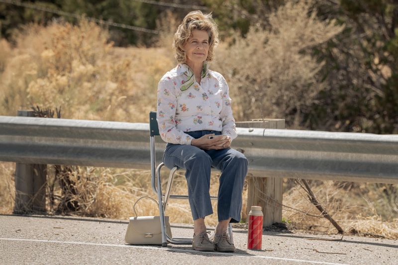Video/Photos: Watch Linda Hamilton's Cameo in DARK WINDS Season 4 Premiere Image