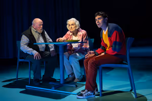 Peter Maloney, Mary Beth Peil, and Noah Galvin Photo