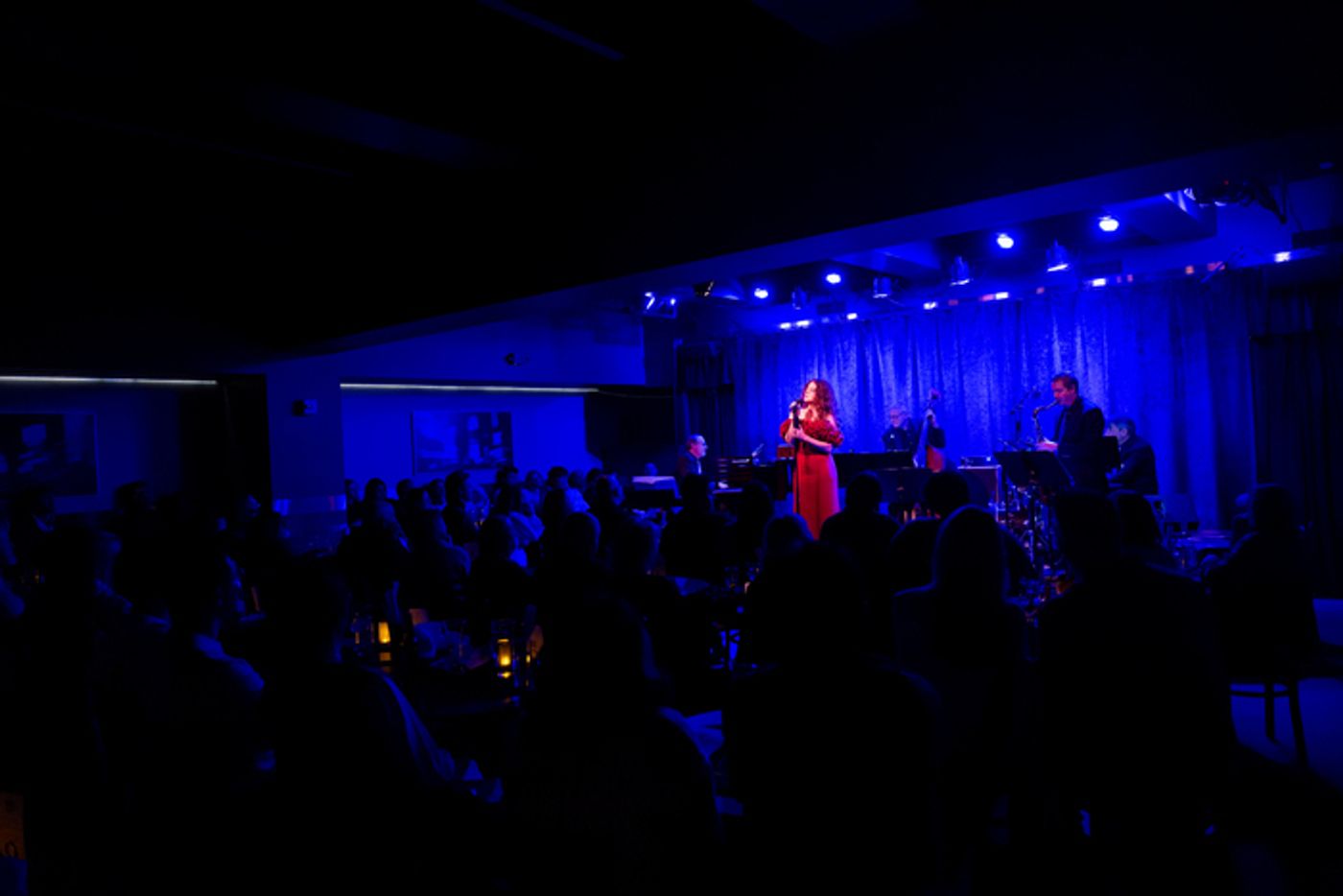 Photos: Melissa Errico Celebrates Valentine's Day at Birdland Photos: Melissa Errico Celebrates Valentine's Day at Birdland Image