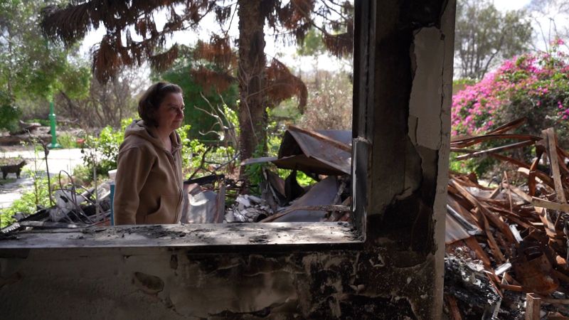 The Guardian Angel of the Cats Who Lost Everything on October 7  Image